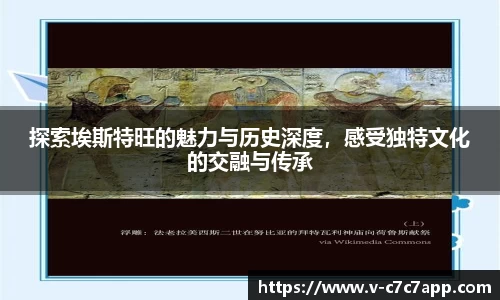 c7c7.app